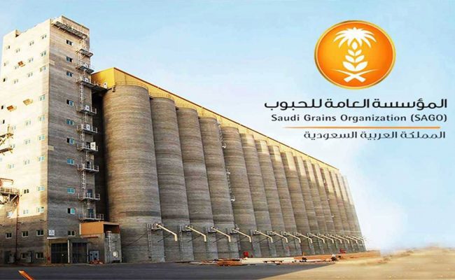 «مؤسسة الحبوب» تعتمد زيادة استثنائية لسعر شراء القمح المحلي
