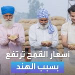 فيديو: الأسواق العربية | أسعار القمح ترتفع بسبب الهند