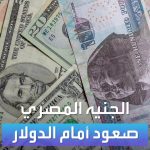 فيديو: الأسواق العربية | الجنيه المصري.. صعود أمام الدولار