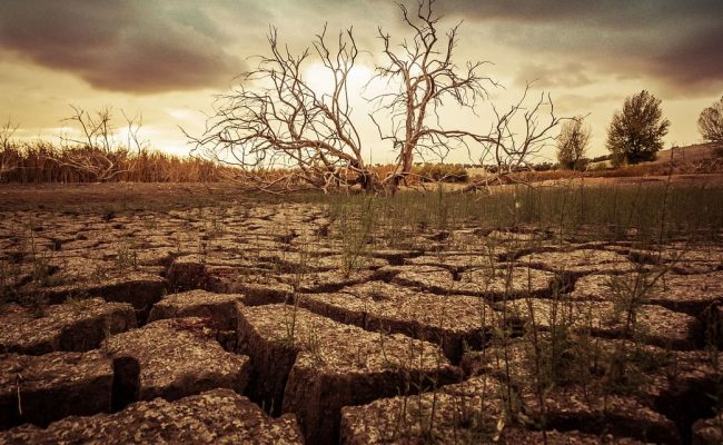 تؤثر على ثلاثة أرباع سكان الأرض.. الأمم المتحدة تحذر من موجة جفاف عالمية