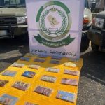 ضبط 18 ألفًا و435 قرصًا خاضعًا لتنظيم التداول الطبي بمحافظة فيفا