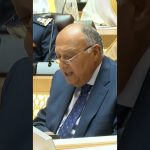 فيديو: مصر: لا حل للصراع القائم إلا بإقامة دولة فلسطينية
